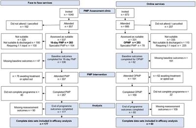 Moving pain management programmes into the digital age: development and evaluation of an online PMP for people with chronic pain